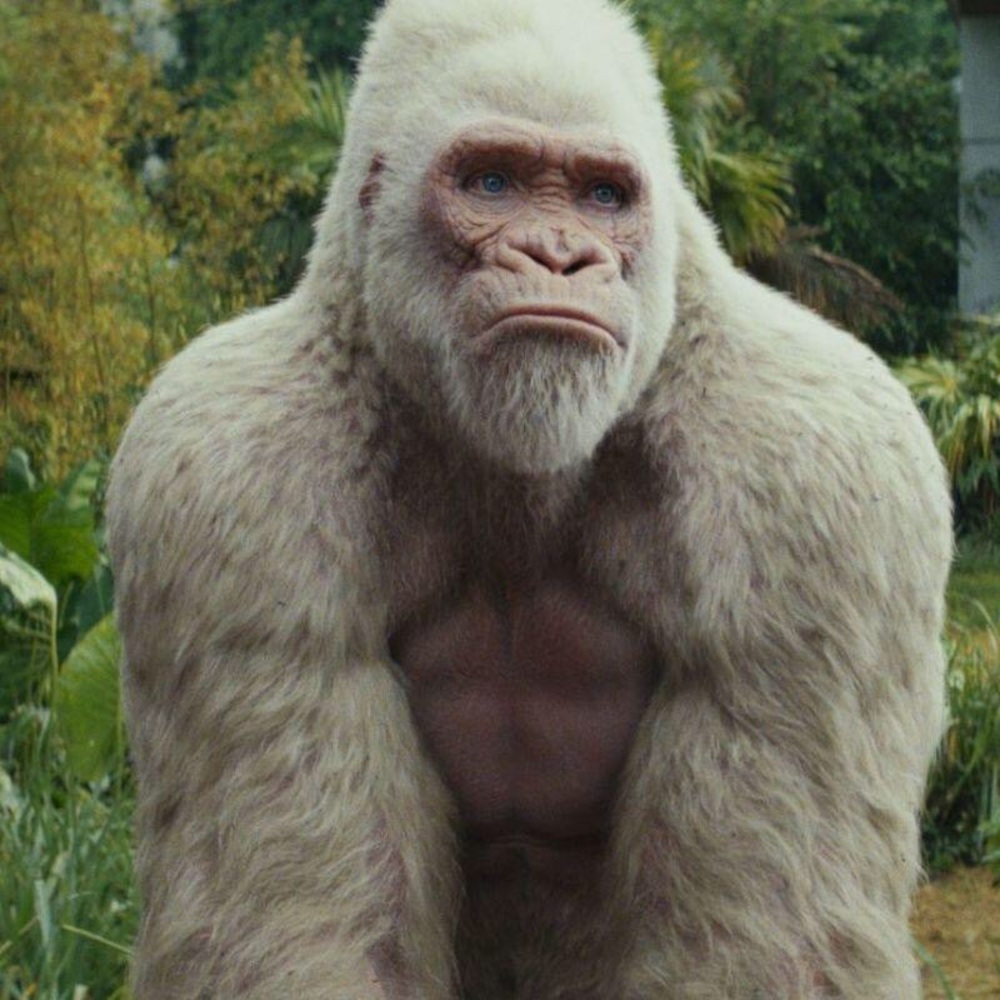 Meet your Posher, Joe